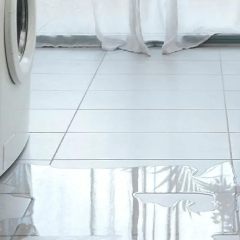 Appliance Leak Cleanup in The Villages, FL