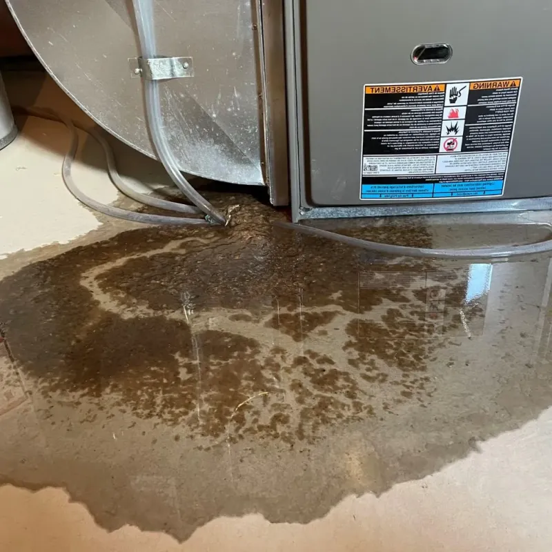 Pipe Burst and Leak Restoration in The Villages, FL